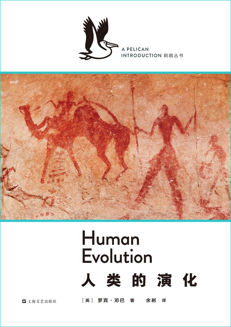 人类的演化-好书天下