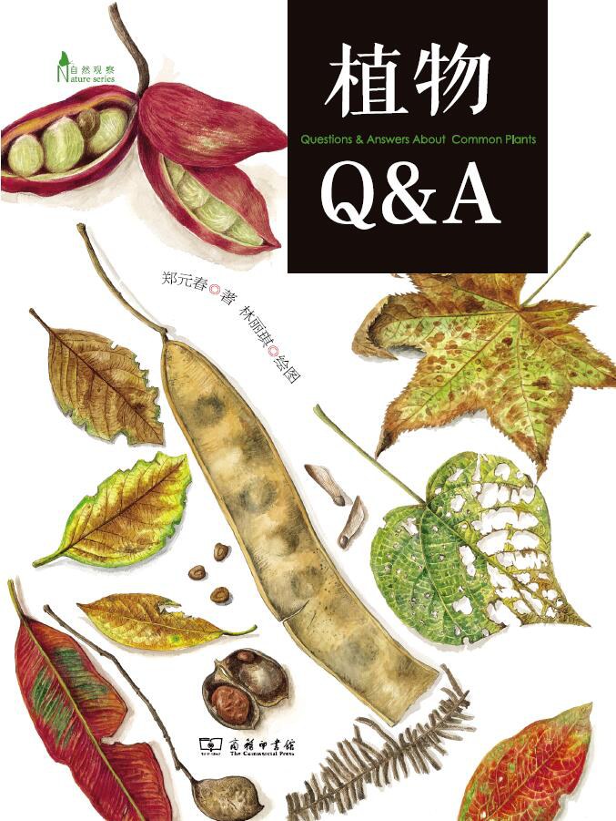 植物Q&A-好书天下