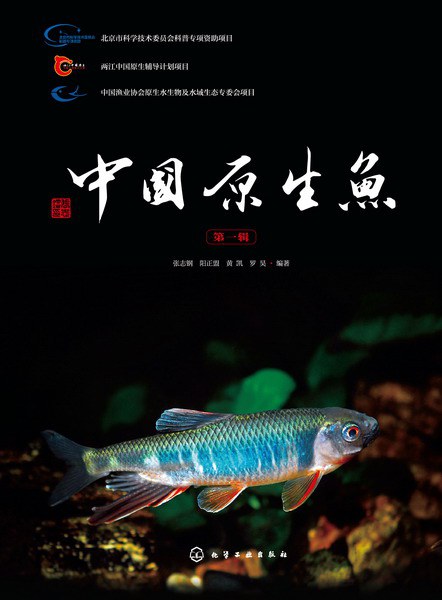 中国原生鱼（第一辑）-好书天下