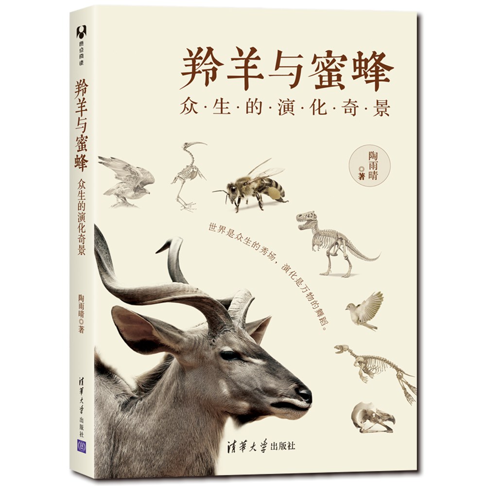 羚羊与蜜蜂：众生的演化奇景-好书天下