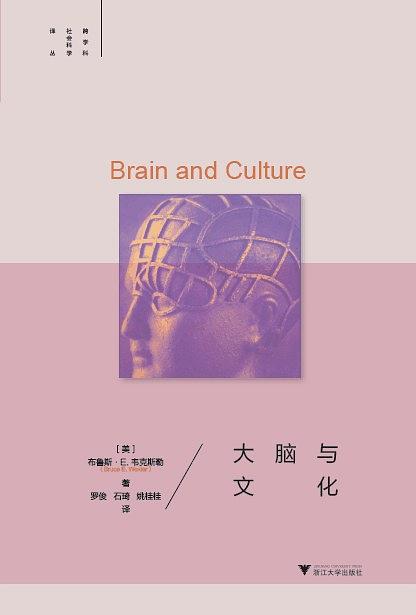 大脑与文化（精装本）-好书天下