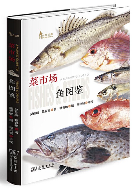 菜市场鱼图鉴-好书天下
