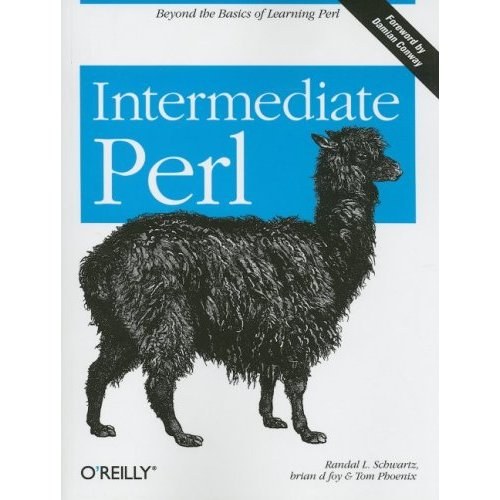 Intermediate Perl-好书天下