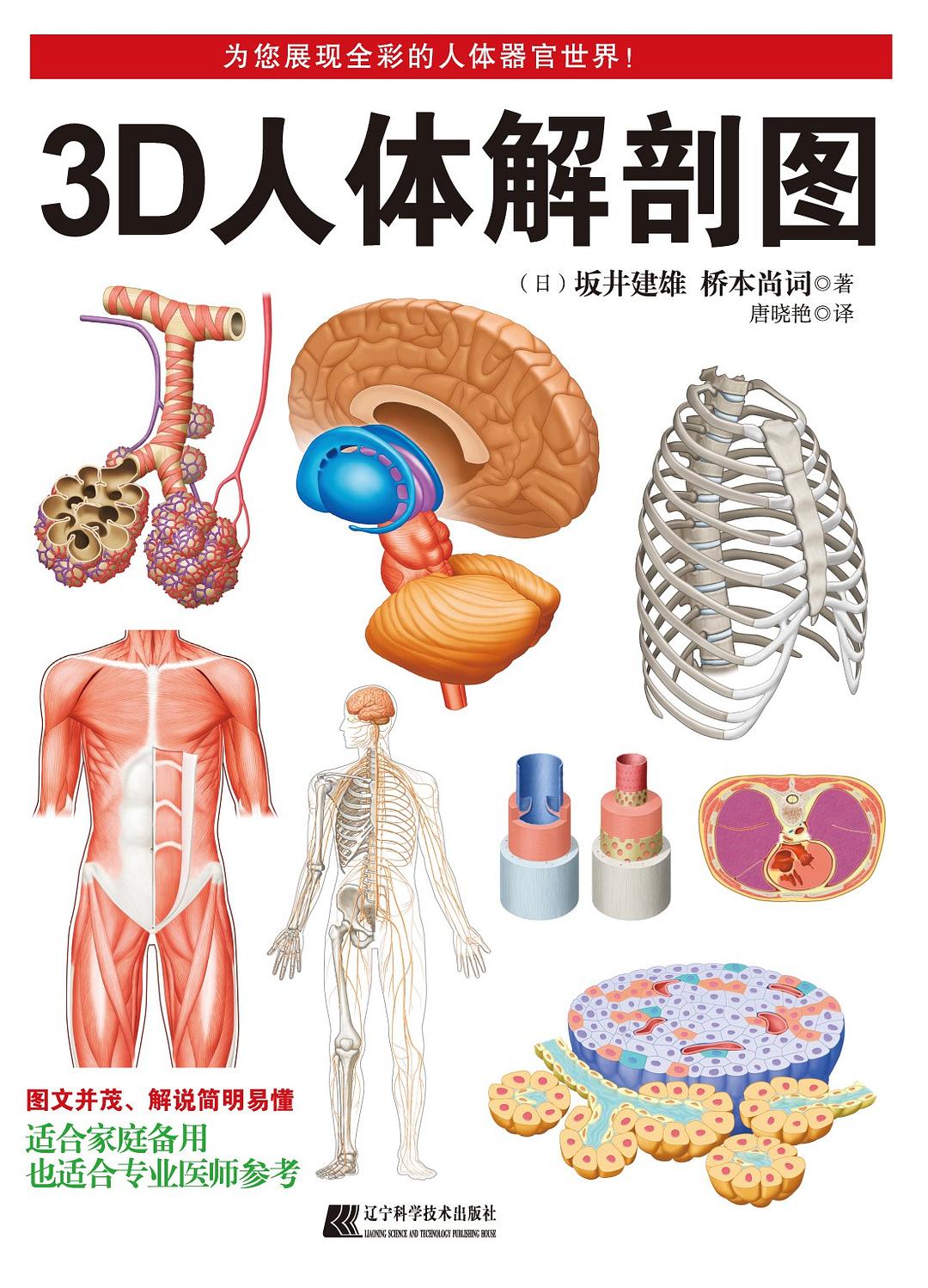 3D人体解剖图-好书天下