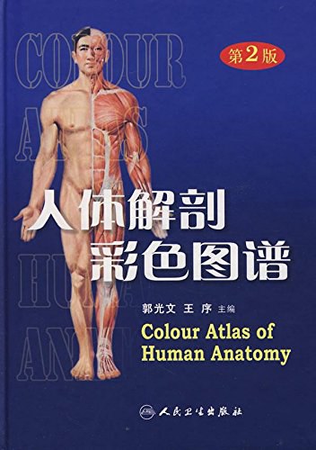 人体解剖彩色图谱-好书天下