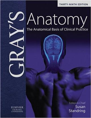 Gray's Anatomy-好书天下