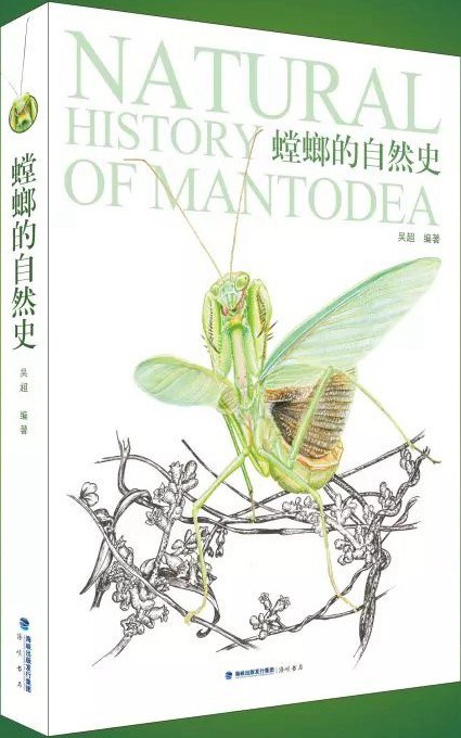 螳螂的自然史-好书天下